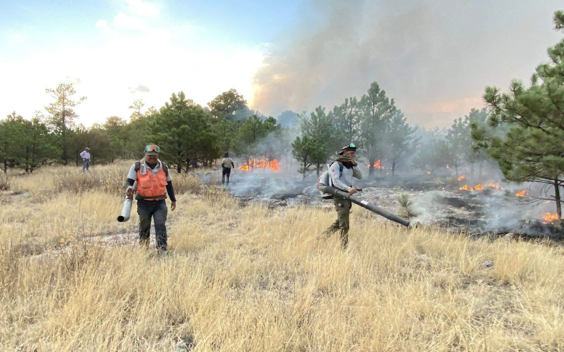 Incendio Forestal 1